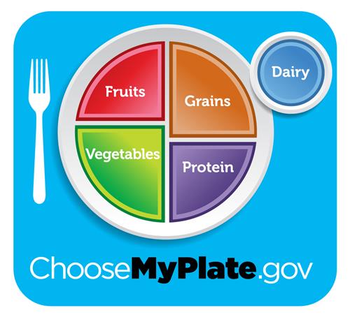 Choose my plate fruits, grains, vegetables, protein, dairy Choose my plate fruits, grains, vegetables, protein, dairy